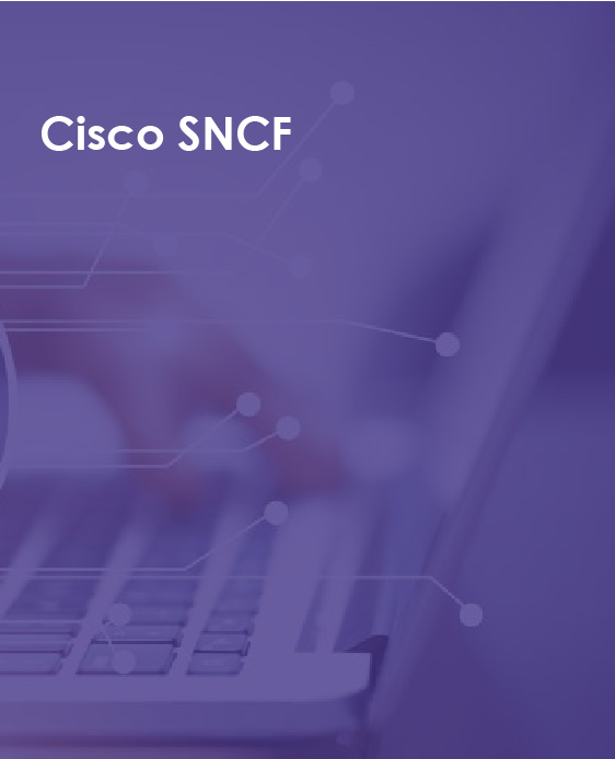 http://www.improtechsystems.com/Cisco SNCF